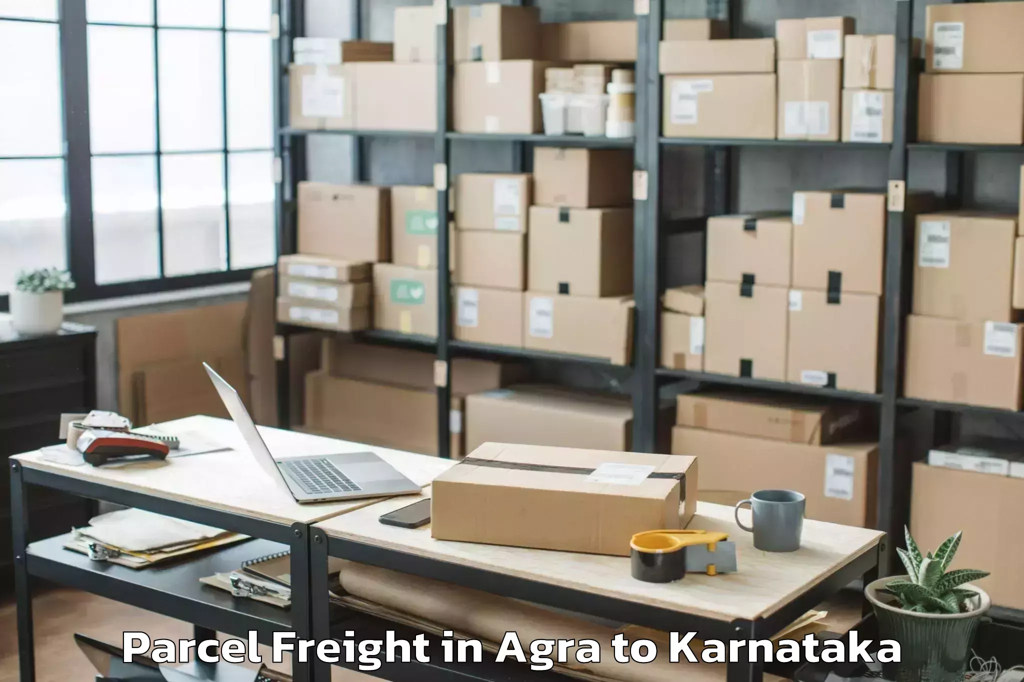 Book Your Agra to Holalu Parcel Freight Today